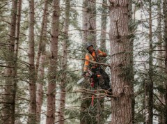 Vision Arboriculture Ltd.